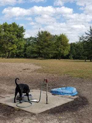 Rivertown Dog Park