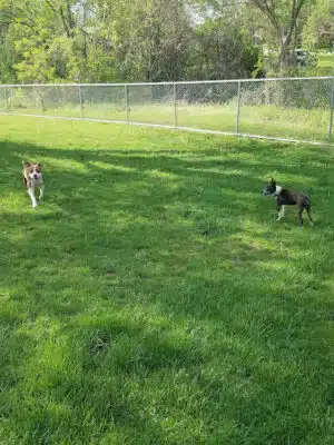 Mill Creek Dog Park