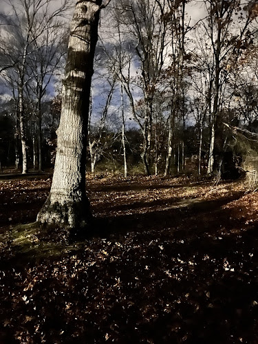 Hidden Pond Park
