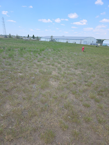 Havre Dog Park Club