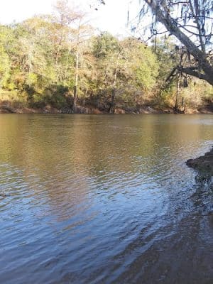 Hawkinsville Park - Hawkinsville, GA