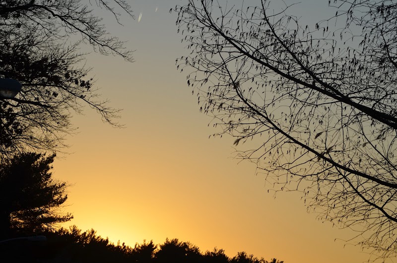 Oradell Reservoir Trail - Haworth, NJ