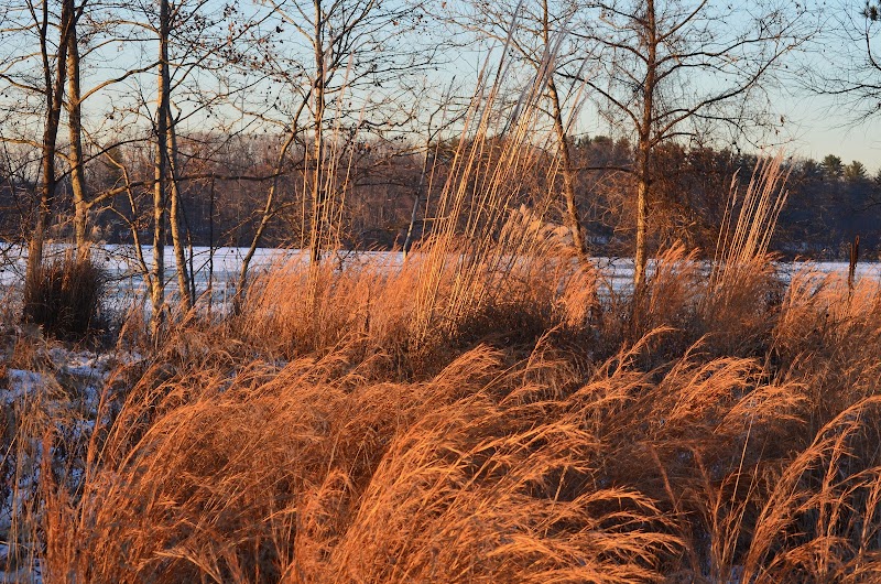 Oradell Reservoir Trail - Haworth, NJ