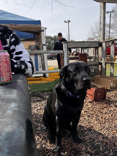 The Swamp Paintball Park - Hayes, VA