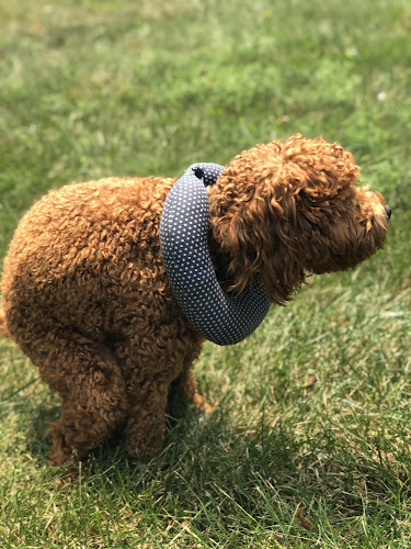 Regency Dog Park