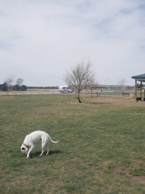 Hays Dog Park