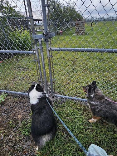 Bailey's Bark Park - Yearly Fee to Use