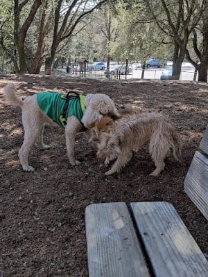 Villa Chanticleer Dog Park - Healdsburg, CA