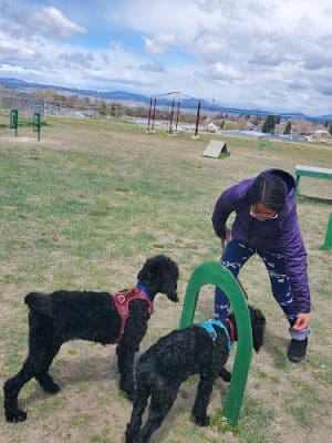 Paws Park