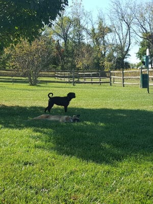 Polk Valley Park