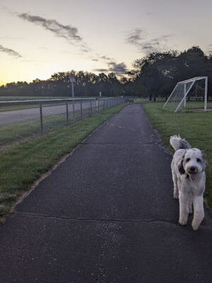 Richland Township Park