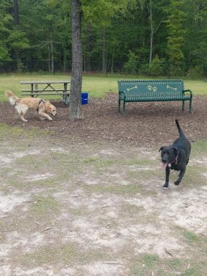 Dorey Park and Recreation Center