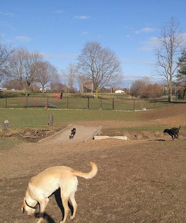 Lookup Park Dog Park