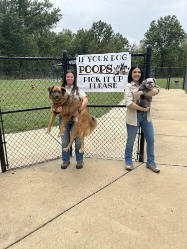 All Bark Village