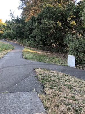Dog park
