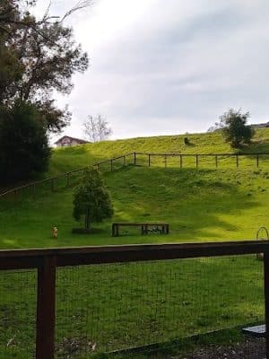 Ohlone Park