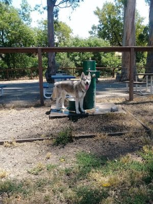 Ohlone Park