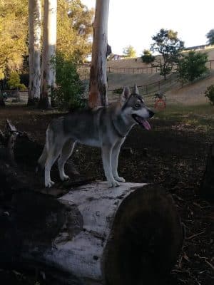Ohlone Park