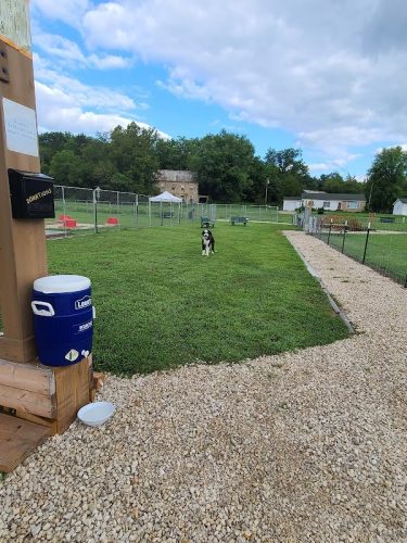 Hermann Dog Park