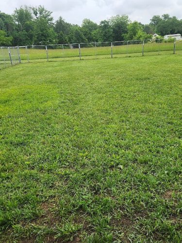 Hermann Dog Park