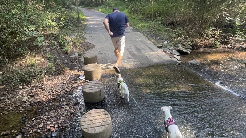 Sugarland Run Stream Valley Trail - Herndon, VA