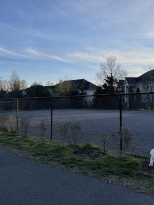 Dulles Station Community Park