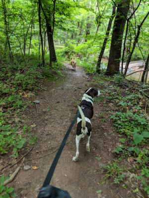 Folly Lick Park