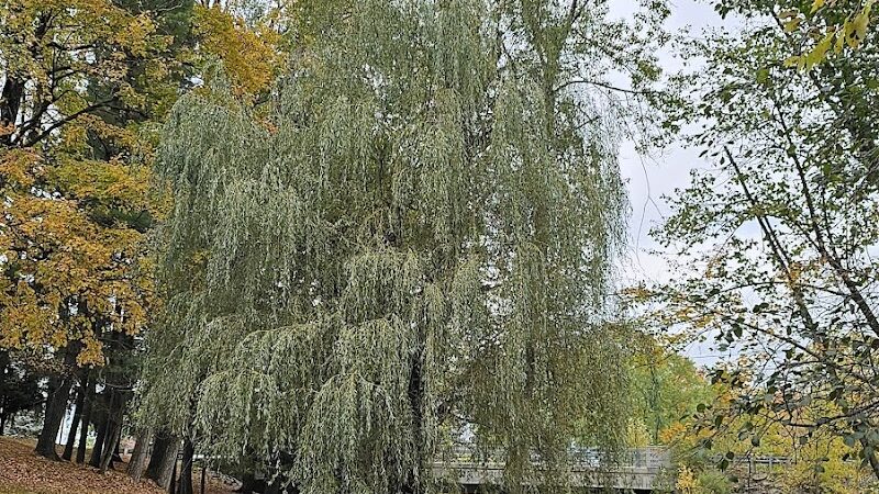 Mosaic Park - Hersey,