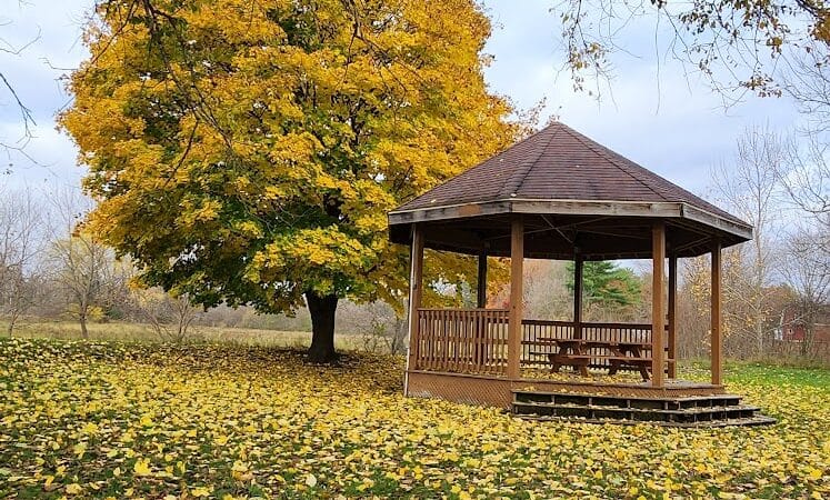 Mosaic Park - Hersey,