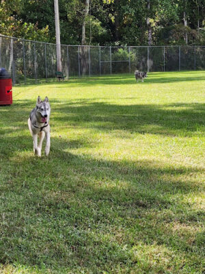 Fairbrook Optimist Dog Park