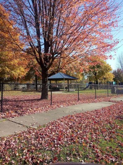 Hawthorne Playground - Highland Park,