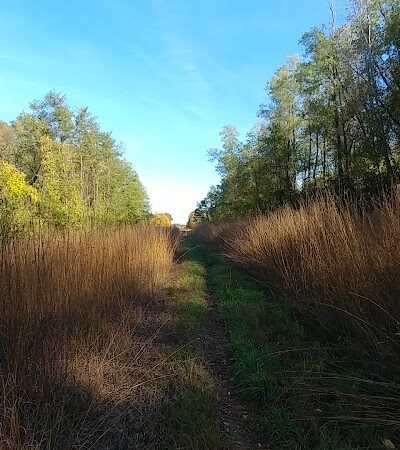 Barn Course Field Trial Grounds - Highland Township, MI