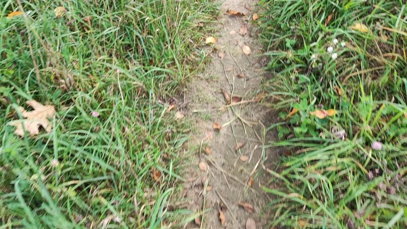 Sod Farm Field Trial Grounds - Highland Township, MI