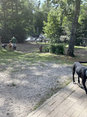 Highlands Dog Park