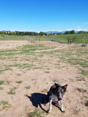Rover's Run at Redstone Park