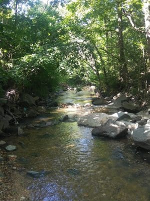 Oxon Run Neighborhood Park