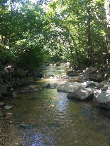 Oxon Run Neighborhood Park