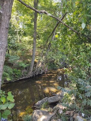 Oxon Run Neighborhood Park