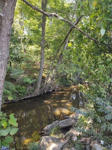 Oxon Run Neighborhood Park