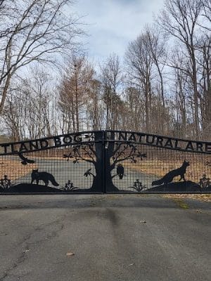 Suitland Bog Natural Area