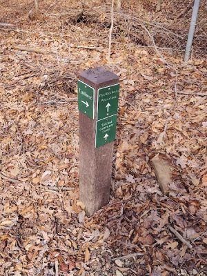Suitland Bog Natural Area
