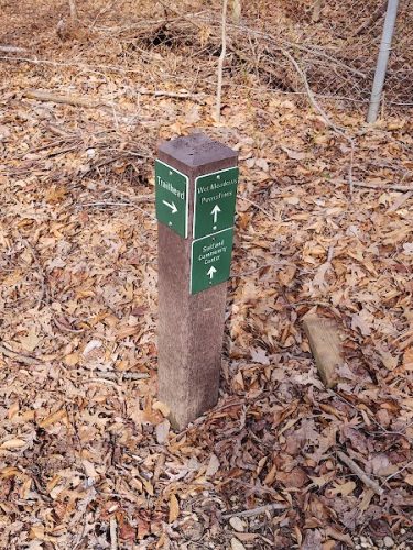 Suitland Bog Natural Area