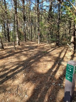 Suitland Bog Natural Area