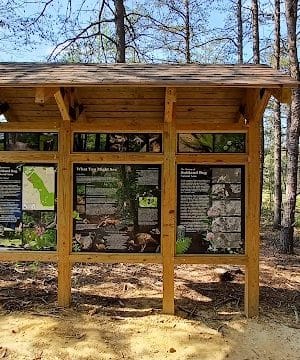 Suitland Bog Natural Area