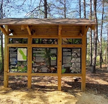 Suitland Bog Natural Area