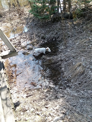 Tiger Paw Park