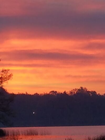 Owens Park - Hillsdale,