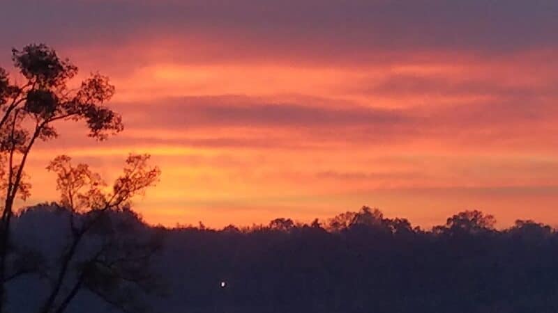 Owens Park - Hillsdale,