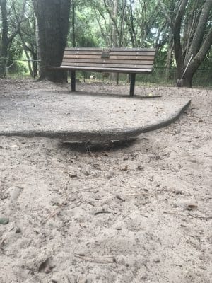 Chaplin Best Friends Dog Park