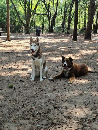 Chaplin Best Friends Dog Park